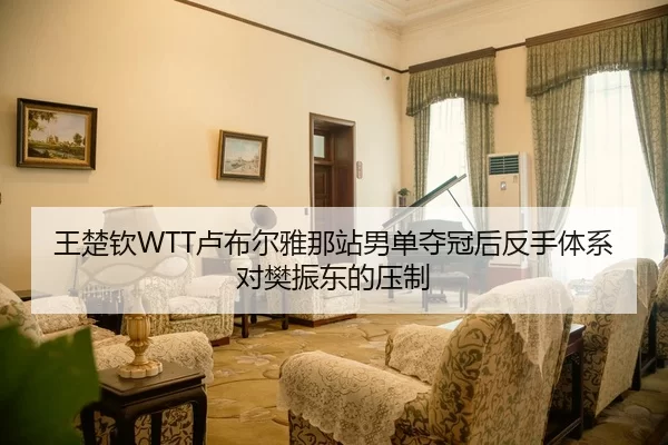 王楚钦WTT卢布尔雅那站男单夺冠后反手体系对樊振东的压制