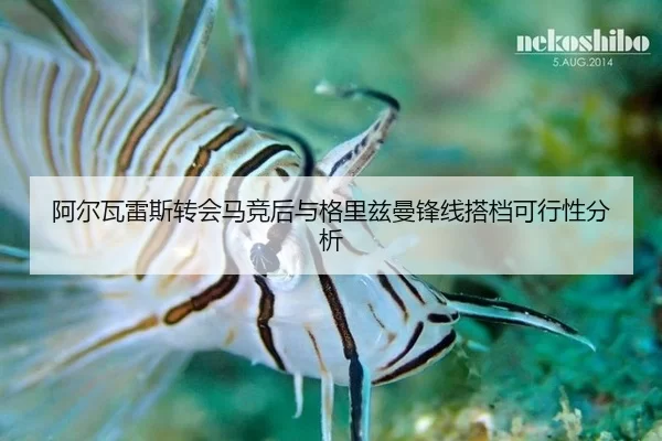 阿尔瓦雷斯转会马竞后与格里兹曼锋线搭档可行性分析